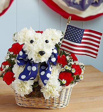 Yankee Doodle Doggie&amp;trade;