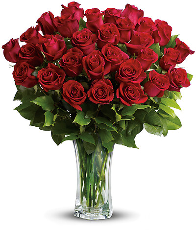 Love and Devotion - Long Stemmed Red Roses