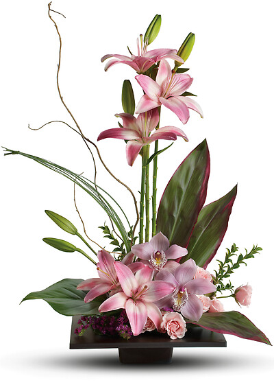 Imagination Blooms with Cymbidium Orchids